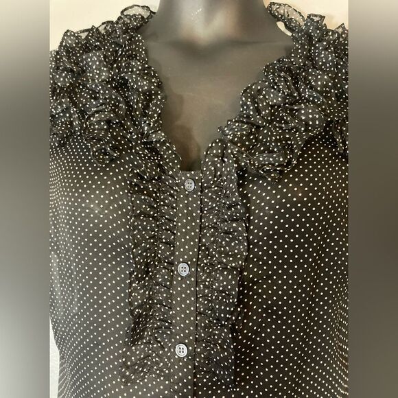 The Limited Black And White Sheer Polka Dot Ruffle Blouse - Picture 4 of 5